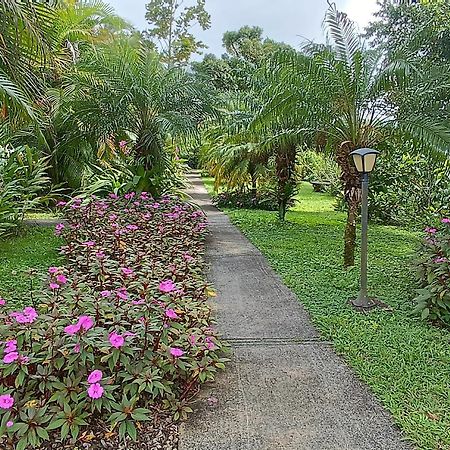 Lakegardens Arenal Condos 纽沃阿雷纳尔 外观 照片