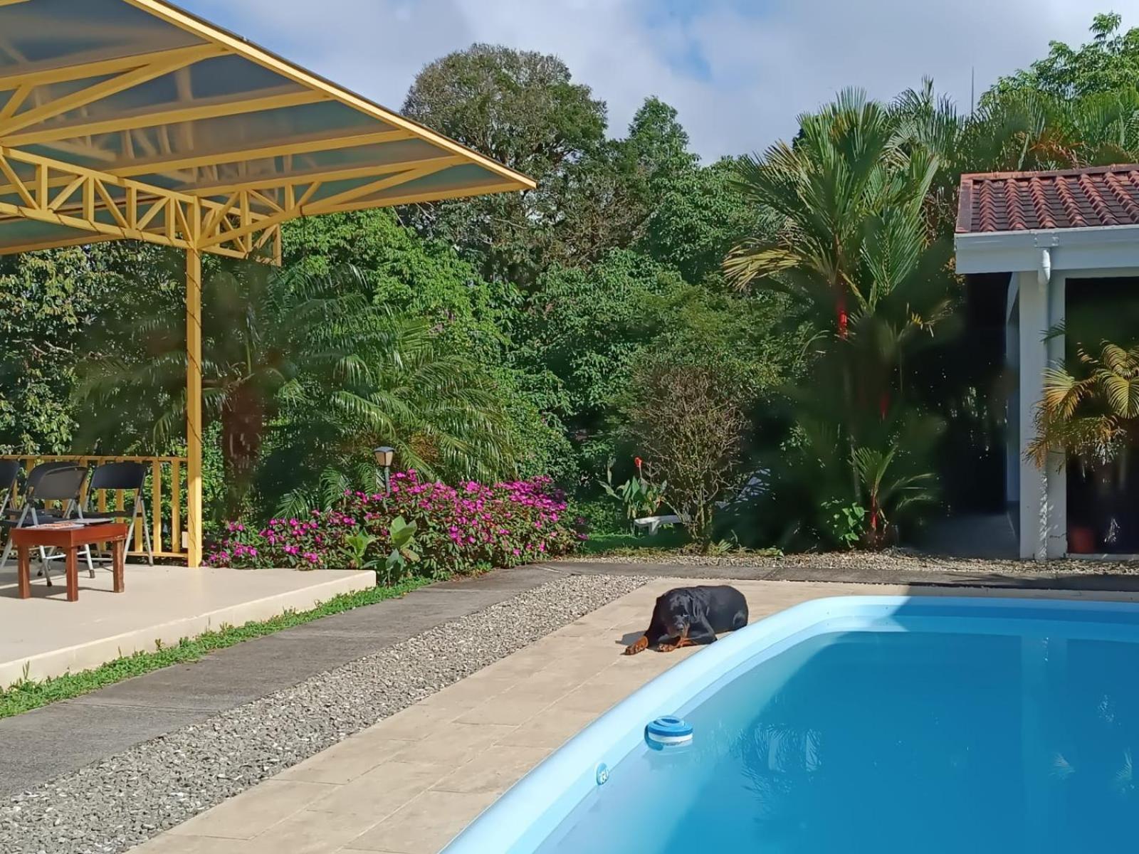 Lakegardens Arenal Condos 纽沃阿雷纳尔 外观 照片